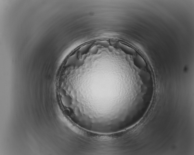 X0000116771235200912241156
