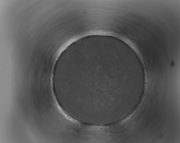 X0000116771237200912241157