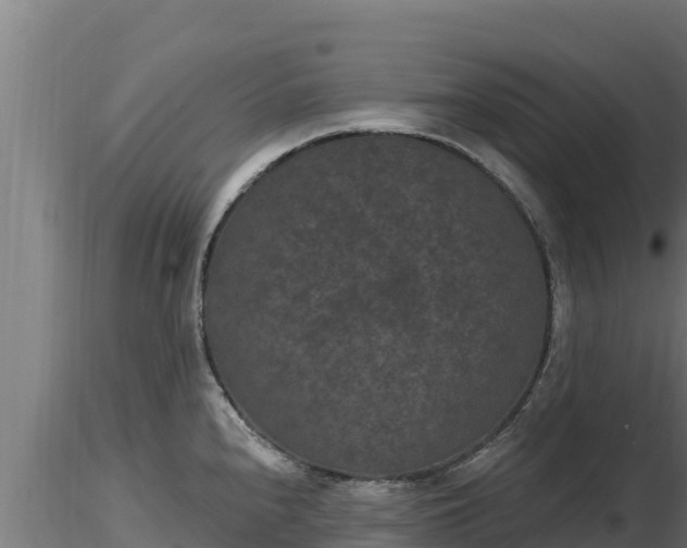 X0000116771240200912241157