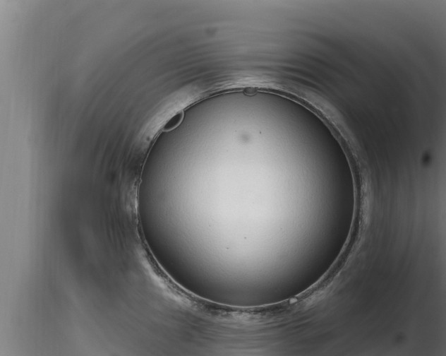 X0000116771241200912241157