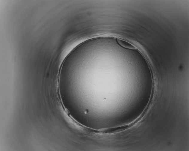 X0000116771244200912241157