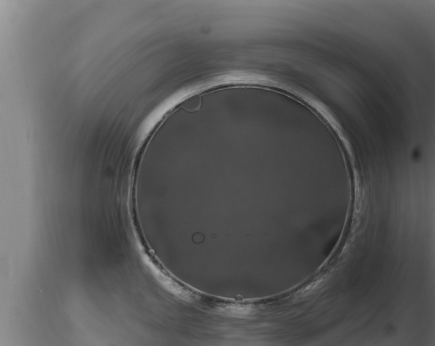 X0000116771245200912241157