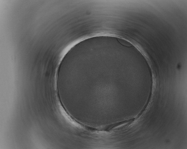 X0000116771246200912241157