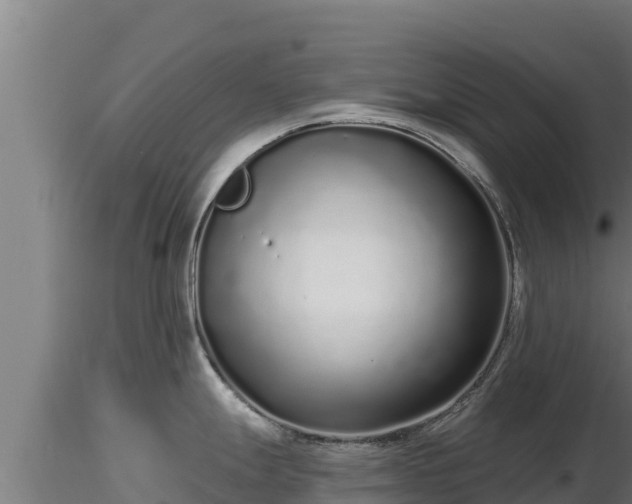 X0000116771247200912241157