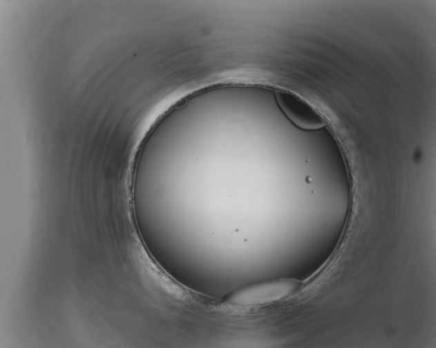 X0000116771248200912241157