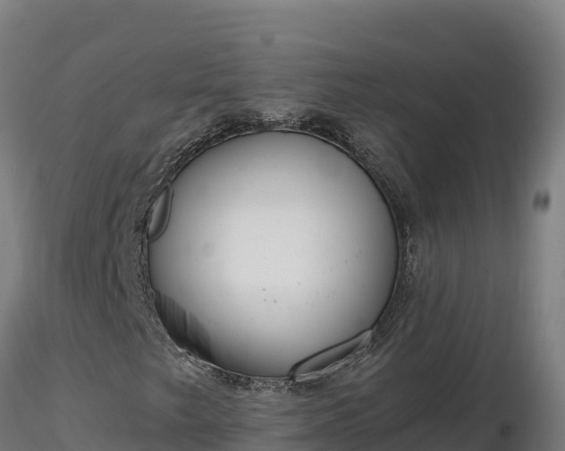 X0000116771249200912241156