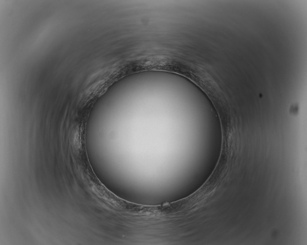 X0000116771250200912241156