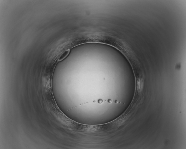 X0000116771251200912241156