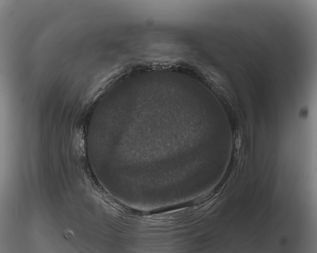 X0000116771252200912241156