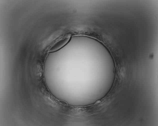 X0000116771253200912241156
