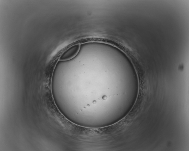 X0000116771255200912241156
