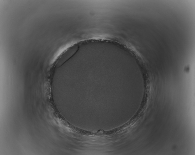 X0000116771256200912241156