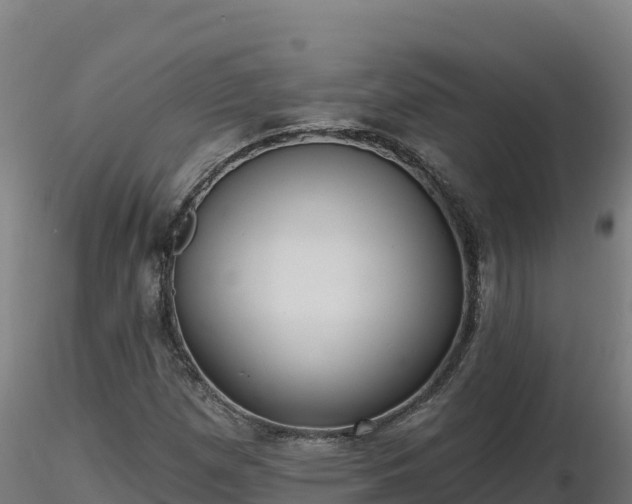 X0000116771257200912241156