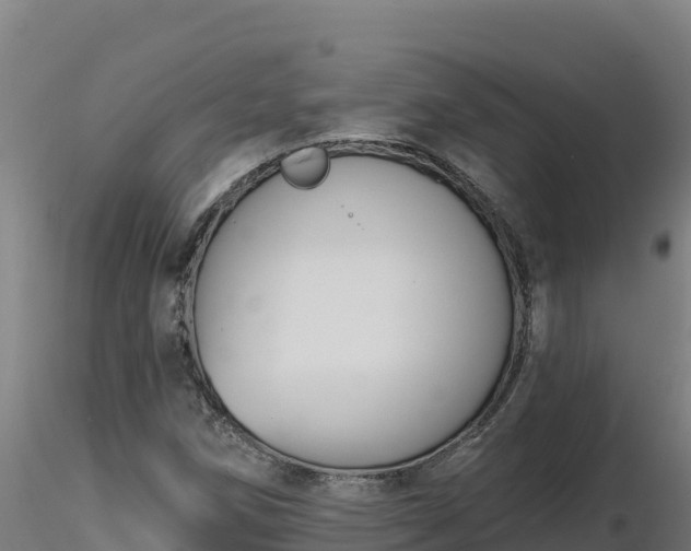 X0000116771258200912241156