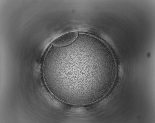 X0000116771260200912241156