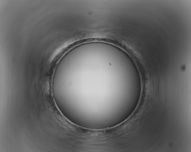 X0000116771262200912241156