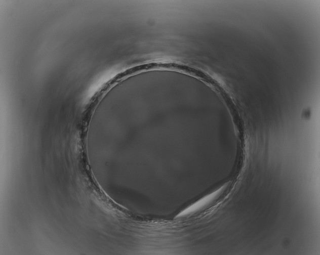 X0000116771263200912241156