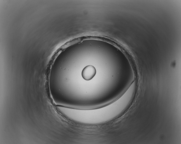 X0000116771264200912241156
