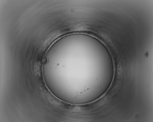 X0000116771265200912241156