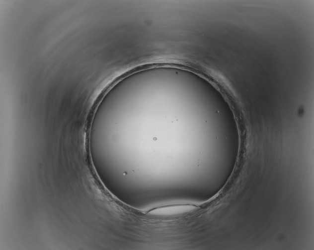 X0000116771268200912241156