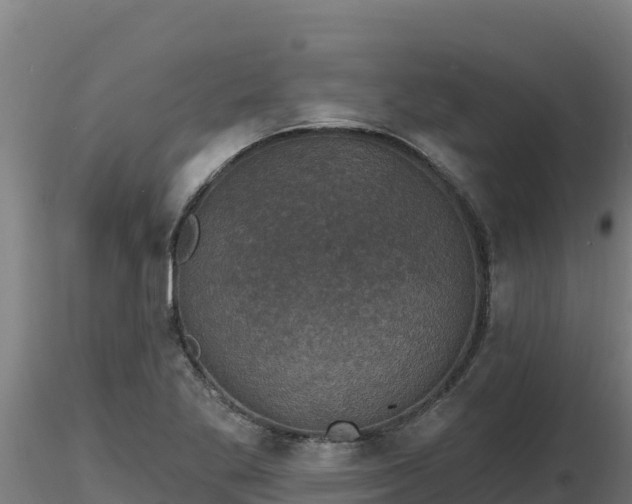 X0000116771269200912241156
