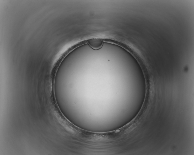 X0000116771270200912241156