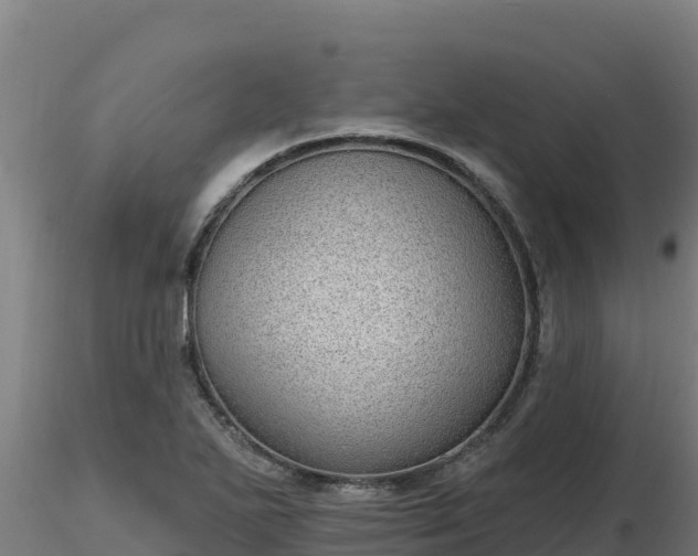 X0000116771271200912241156