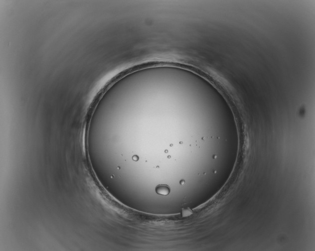 X0000116771272200912241156