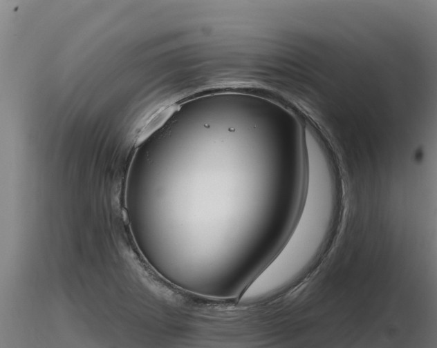 X0000116771273200912241156