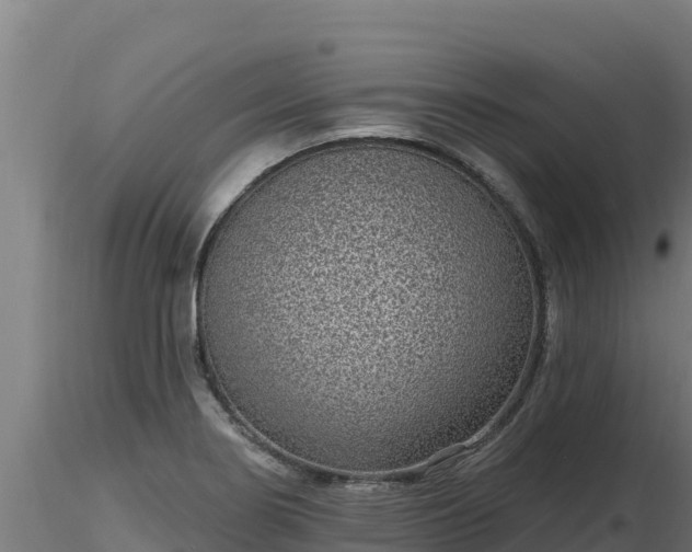 X0000116771274200912241156