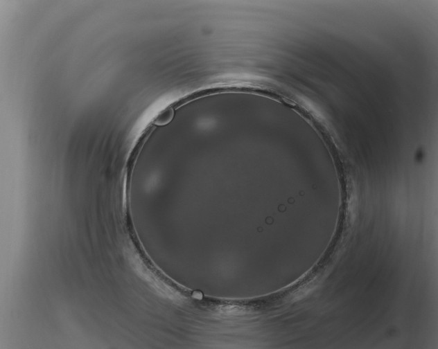 X0000116771275200912241156