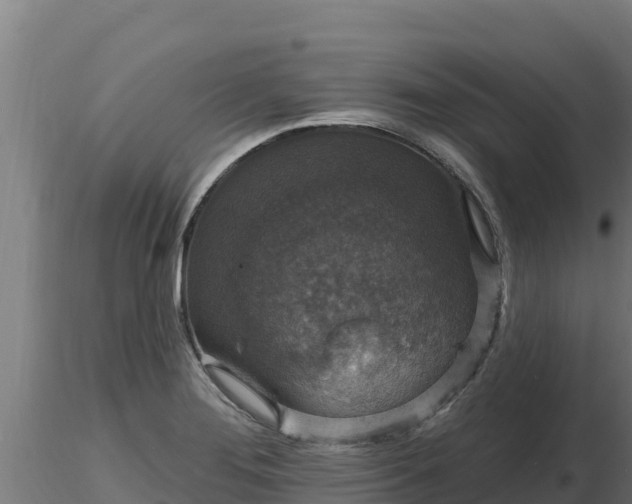 X0000116771276200912241156