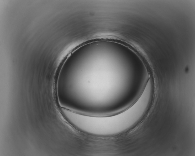 X0000116771277200912241156