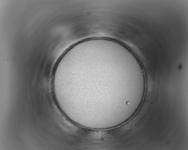 X0000116771278200912241156
