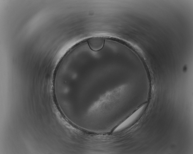 X0000116771279200912241156