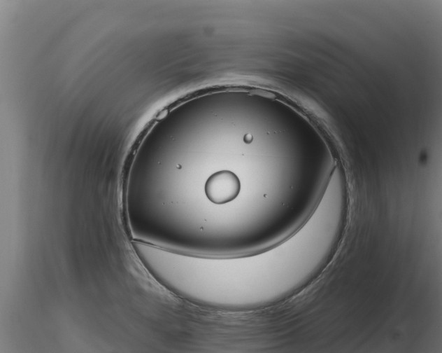 X0000116771280200912241156