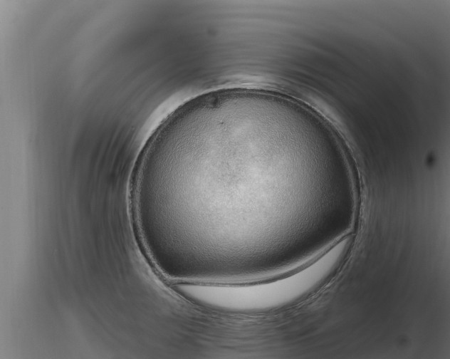 X0000116771283200912241156