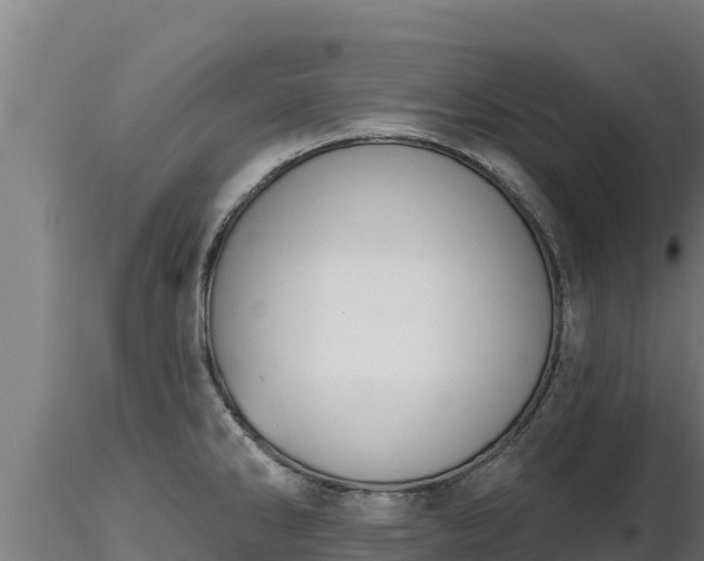 X0000116771286200912241156
