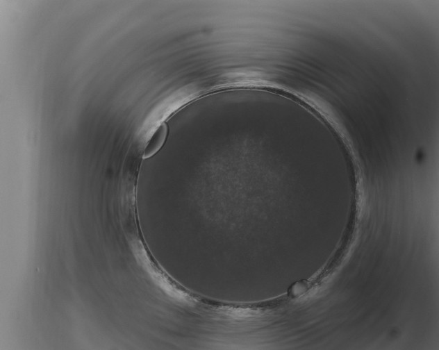 X0000116771289200912241155