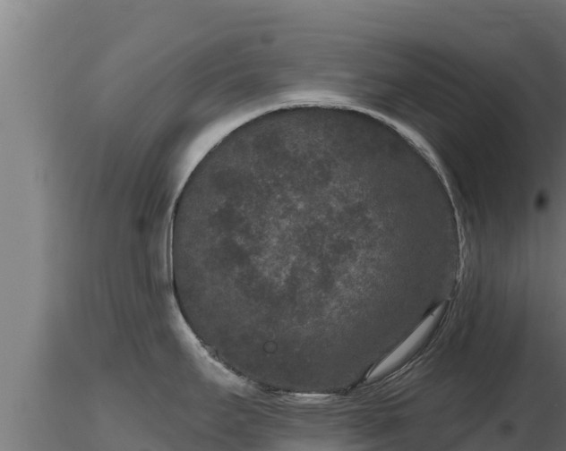 X0000116771295200912241155