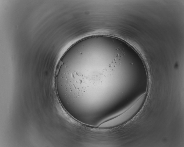X0000116771296200912241155