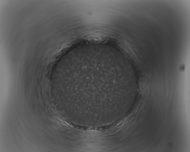 X0000116771297200912241155
