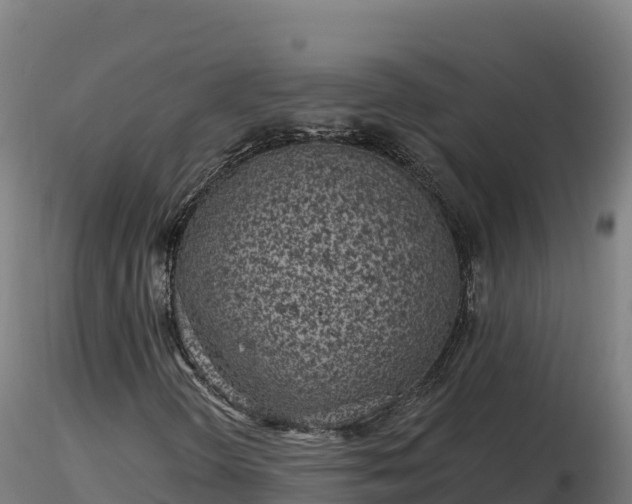 X0000116771298200912241155