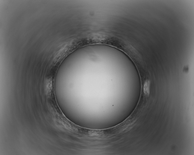 X0000116771299200912241155