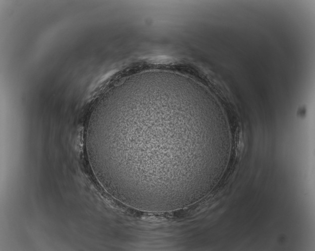 X0000116771301200912241155