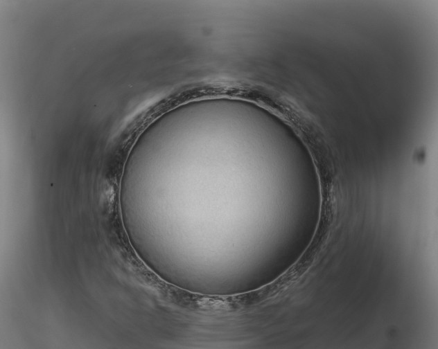 X0000116771302200912241155