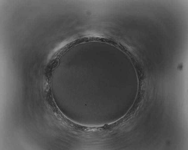 X0000116771303200912241155