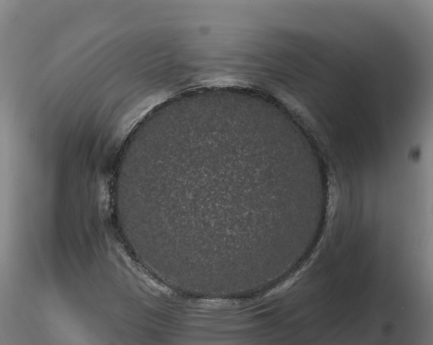 X0000116771305200912241155