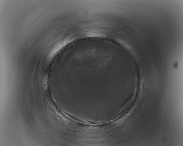 X0000116771306200912241155