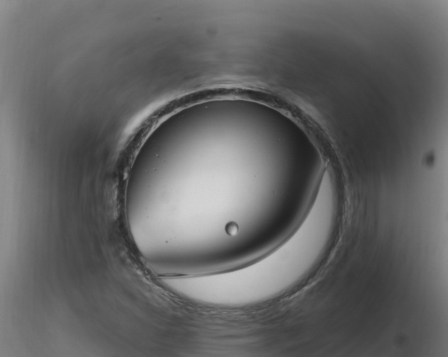 X0000116771310200912241155